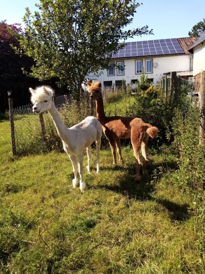 Herzfennerhof Mobilheim Auw bei Prum Exterior foto